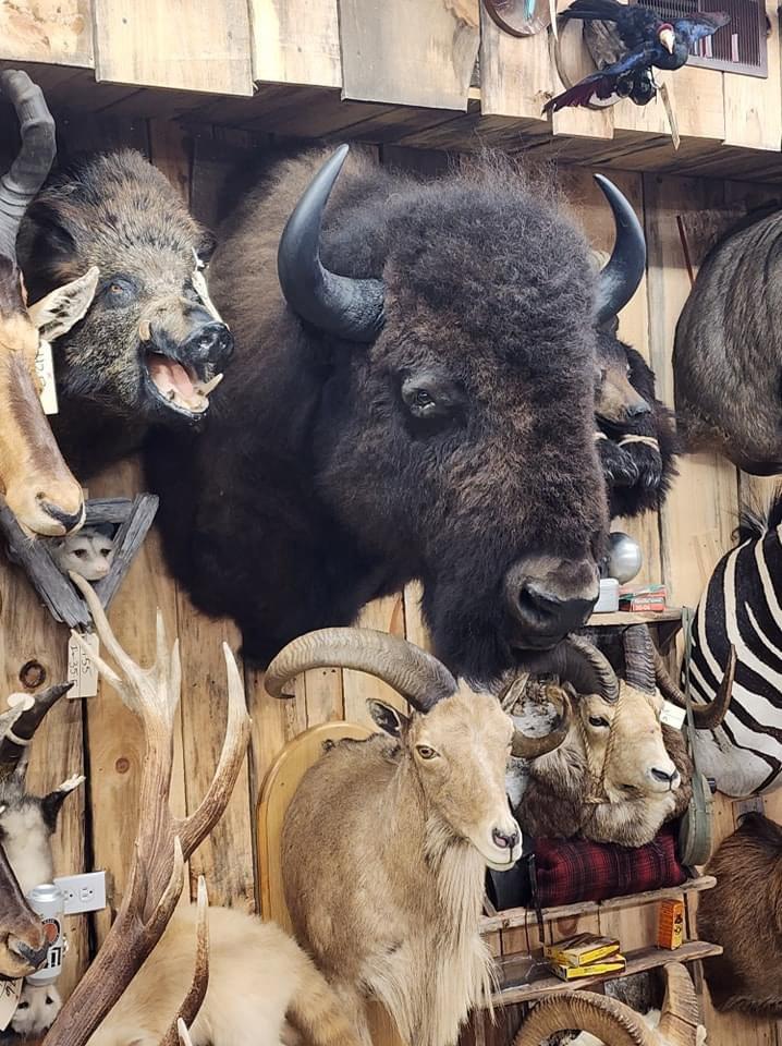 A few shots around the auction  gallery as we continue to get things ready for our spring auction in Maquoketa Iowa March 14-16