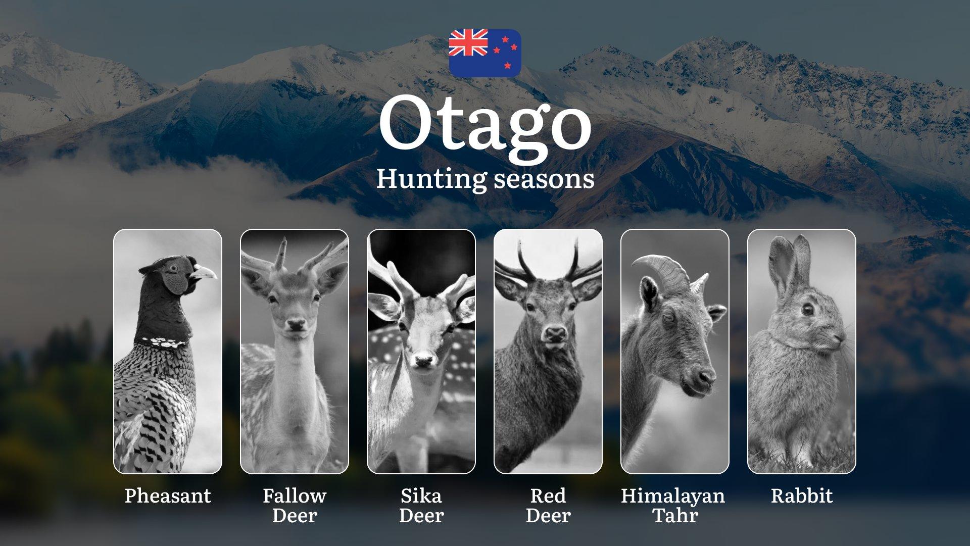 Time of hunting, Equipment and Tactics in New Zealand: OTAGO Region – Seasons, Licences and Rules 