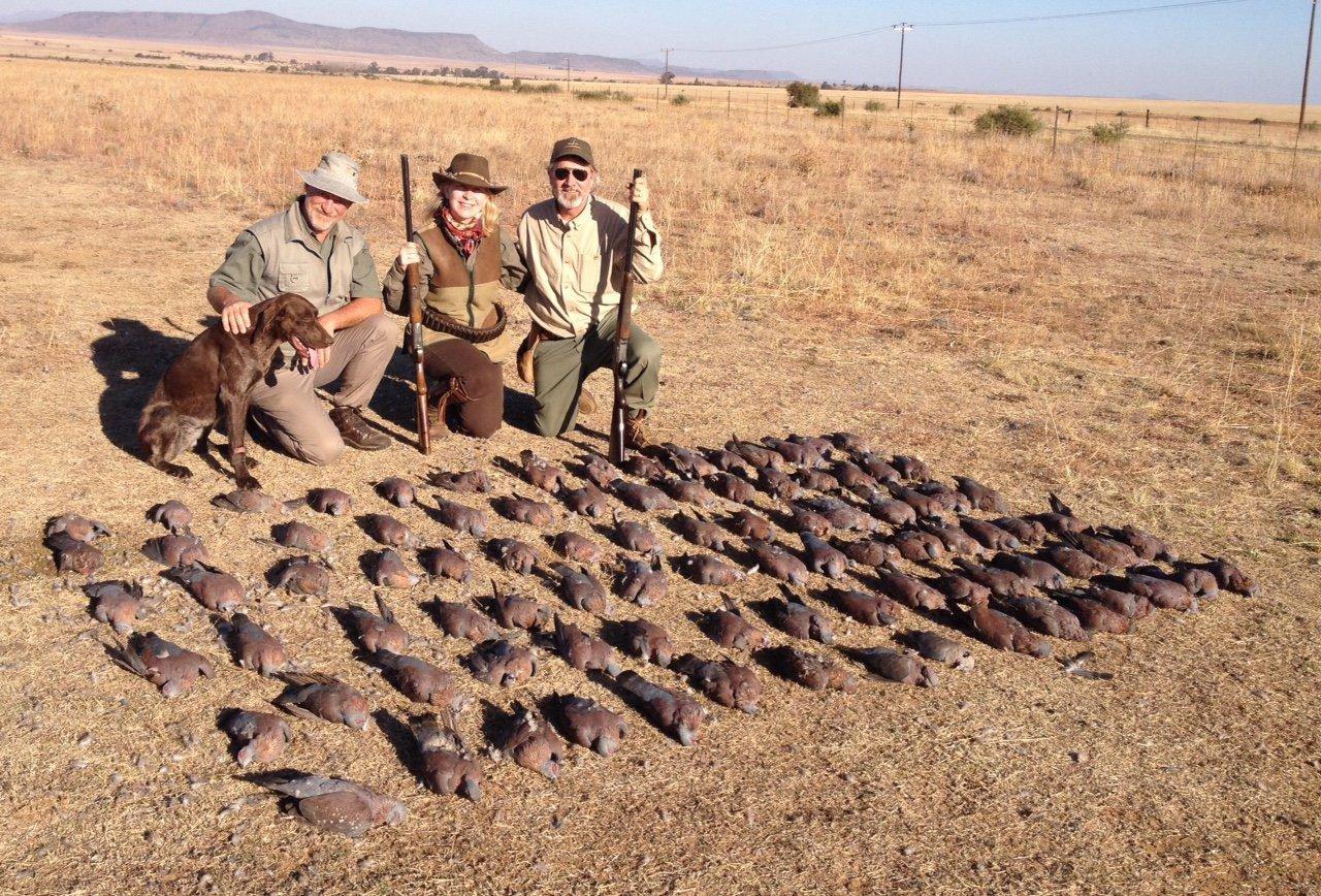 Wings Over the Cliffs: Bird Hunting in Mali’s Bandiagara Escarpment – A UNESCO Wilderness Adventure
