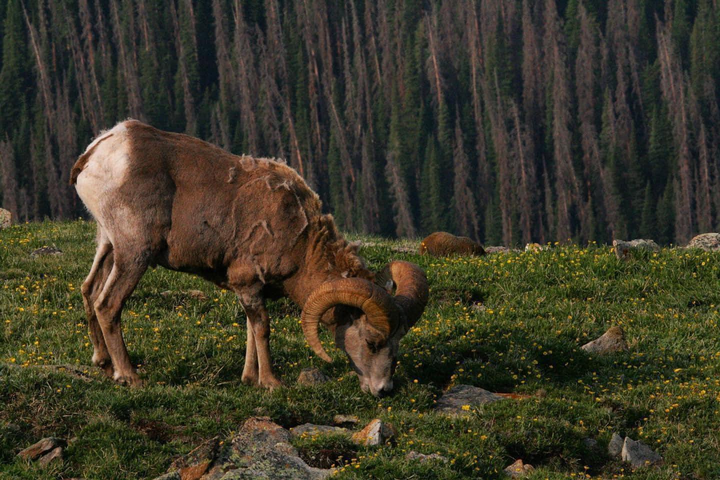 Question for my hiking photographers.