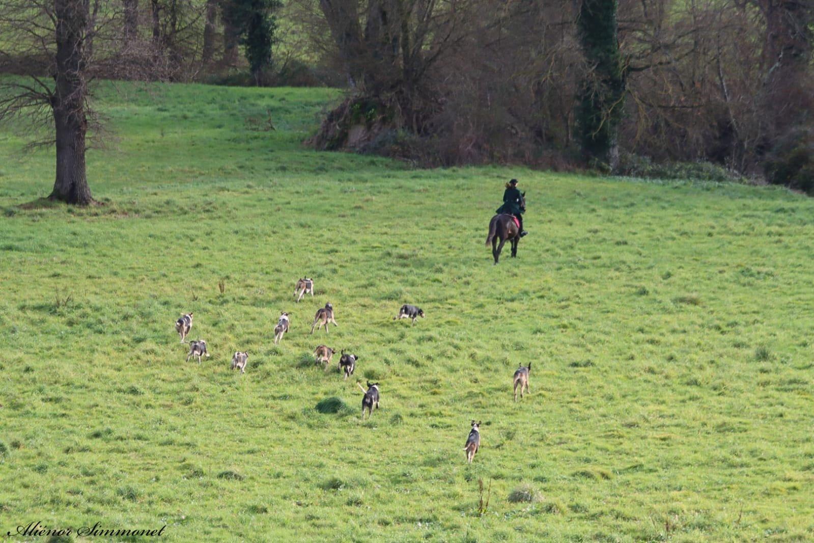 Anne de France et sa passion pour la chasse, un bon exemple..