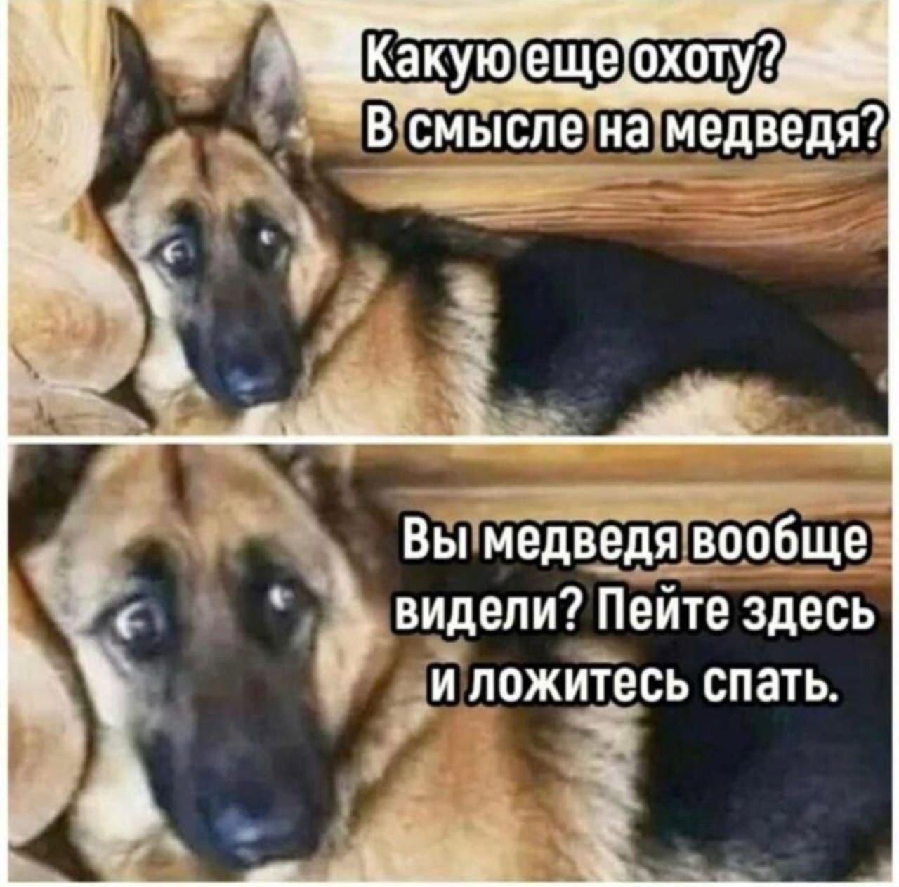 🤣😂🤣