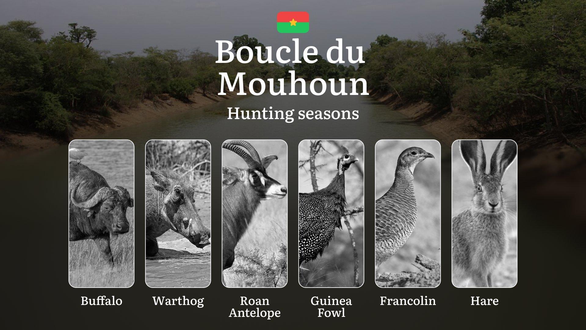 Hunting Seasons in BOUCLE DU MOUHOUN: Key Hunting Periods, Restrictions and Protected Species, General Hunting Rules, Required Licenses and Practical Tips 