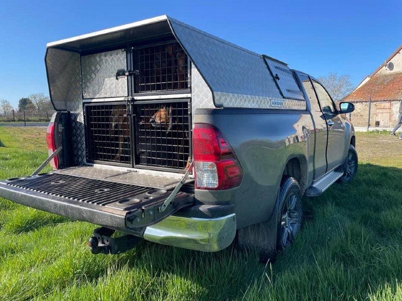 Voilà les chiens ont trouvé leur place dans l allier 03 dans leur nouvelle Caisse a chiens Sébastien Dournes  