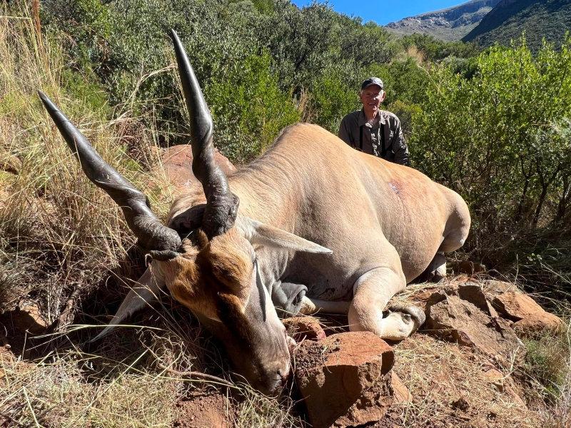 Redgie’s 4th hunt with us and still loves an eland hunt as much as the first one.