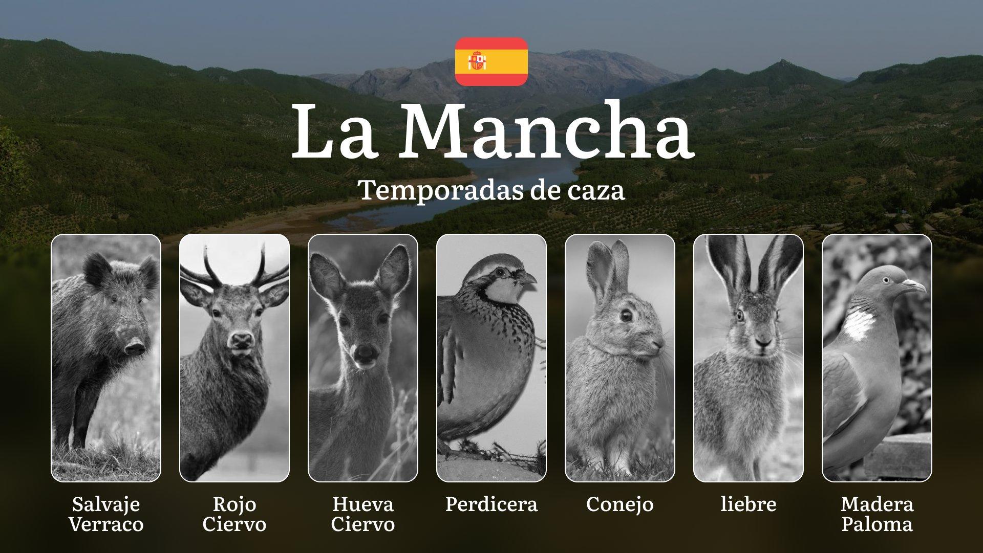 Caza en LA MANCHA: Temporadas y períodos de caza, Normativas y Mejores Zonas para Aprovechar la Riqueza Cinegética de Castilla-La Mancha