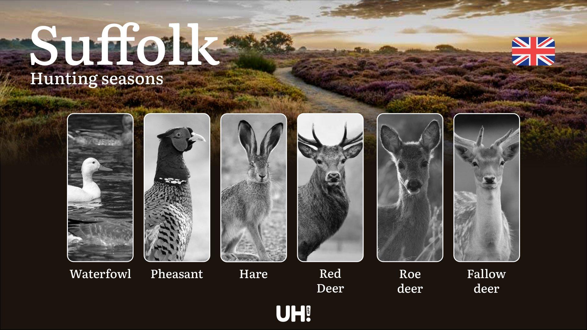 Suffolk Hunting Seasons: Dates, Licenses, Rules & Best Times to Hunt Deer, Pheasant & Duck