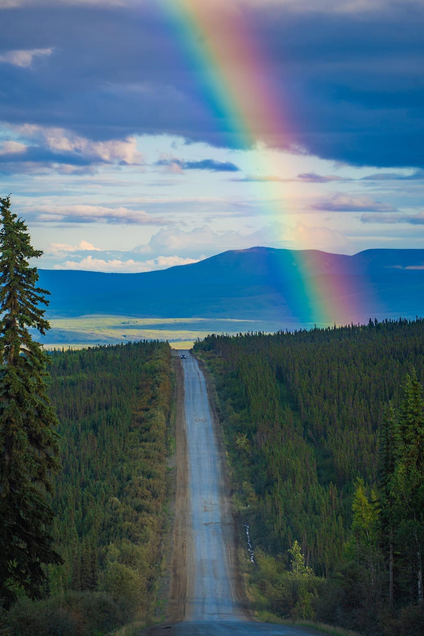 This is what driving all the way from Anchorage to the Arctic Ocean looks like.