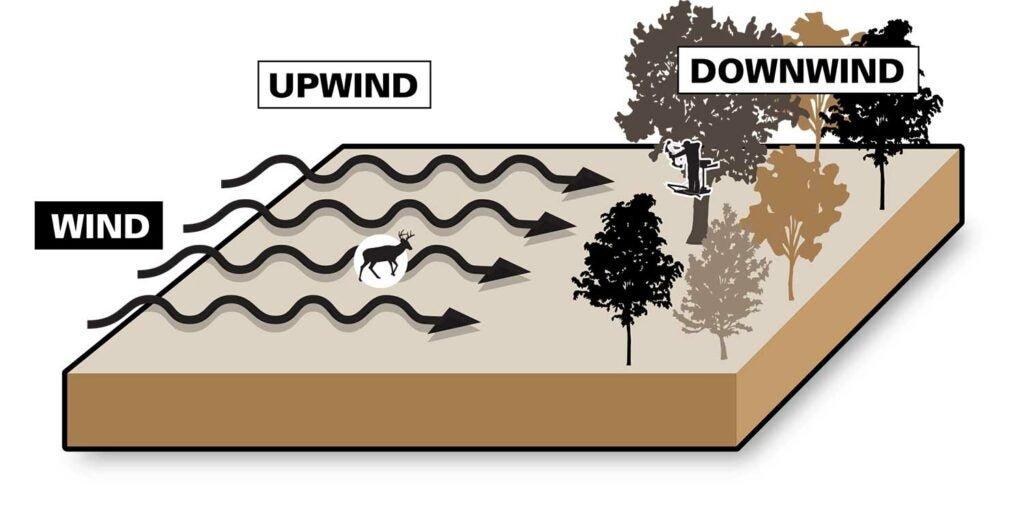 Tip of the Day: Always check the wind direction before setting up your stand.