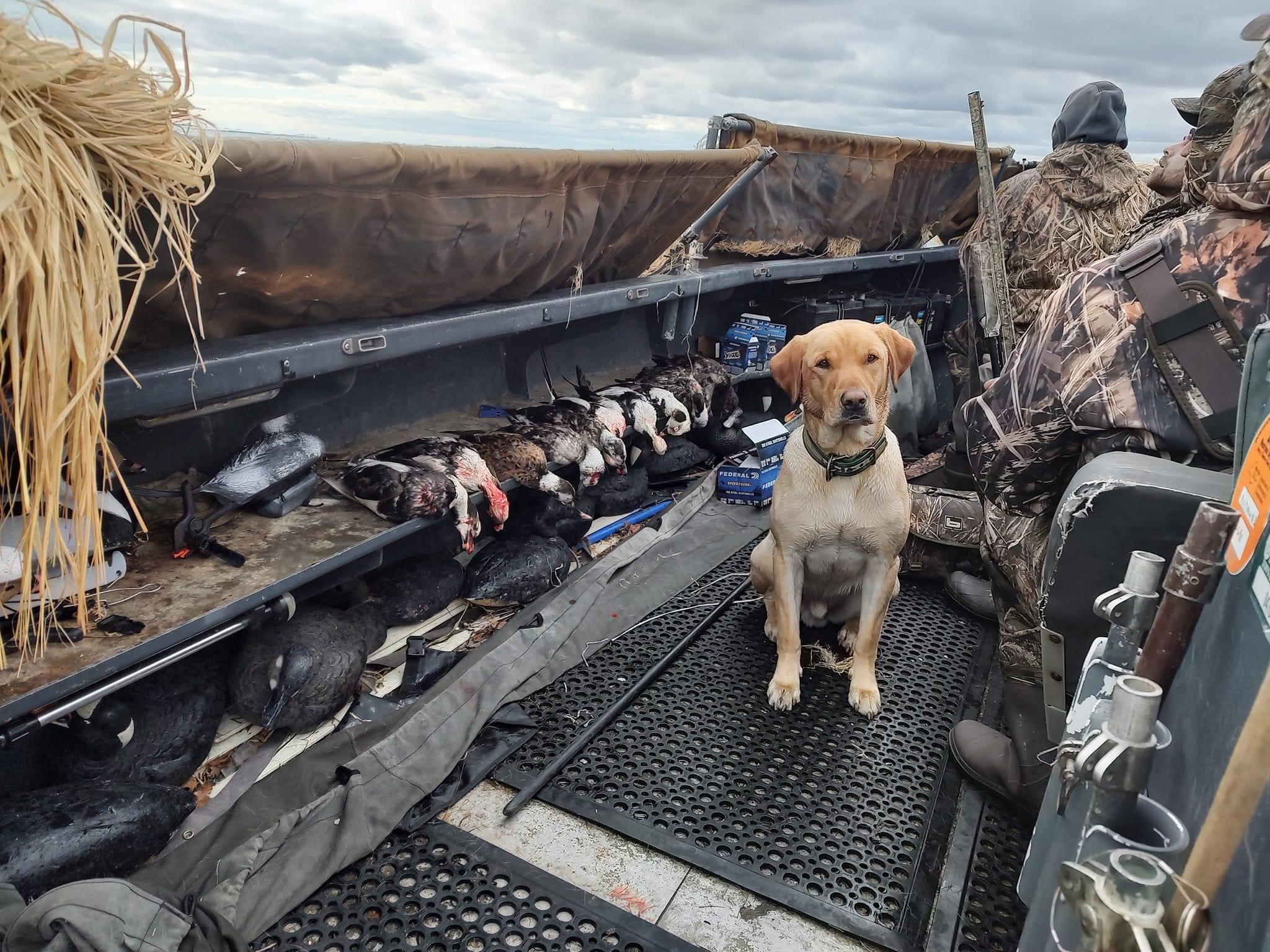 We have 5 openings for a goose hunt on long island NY Oct 14th.