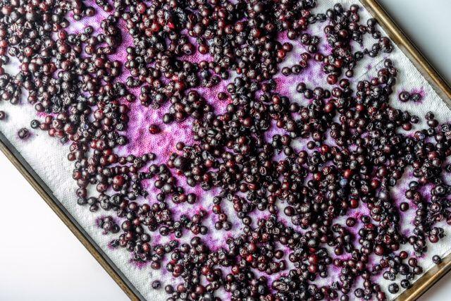 How to Make Pemmican