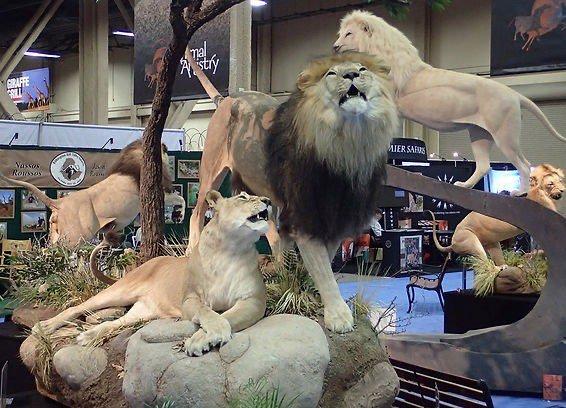 Safari Club International (SCI) is an international non-profit organization that brings together hunters who seek to protect hunting freedom and promote wildlife conservation.