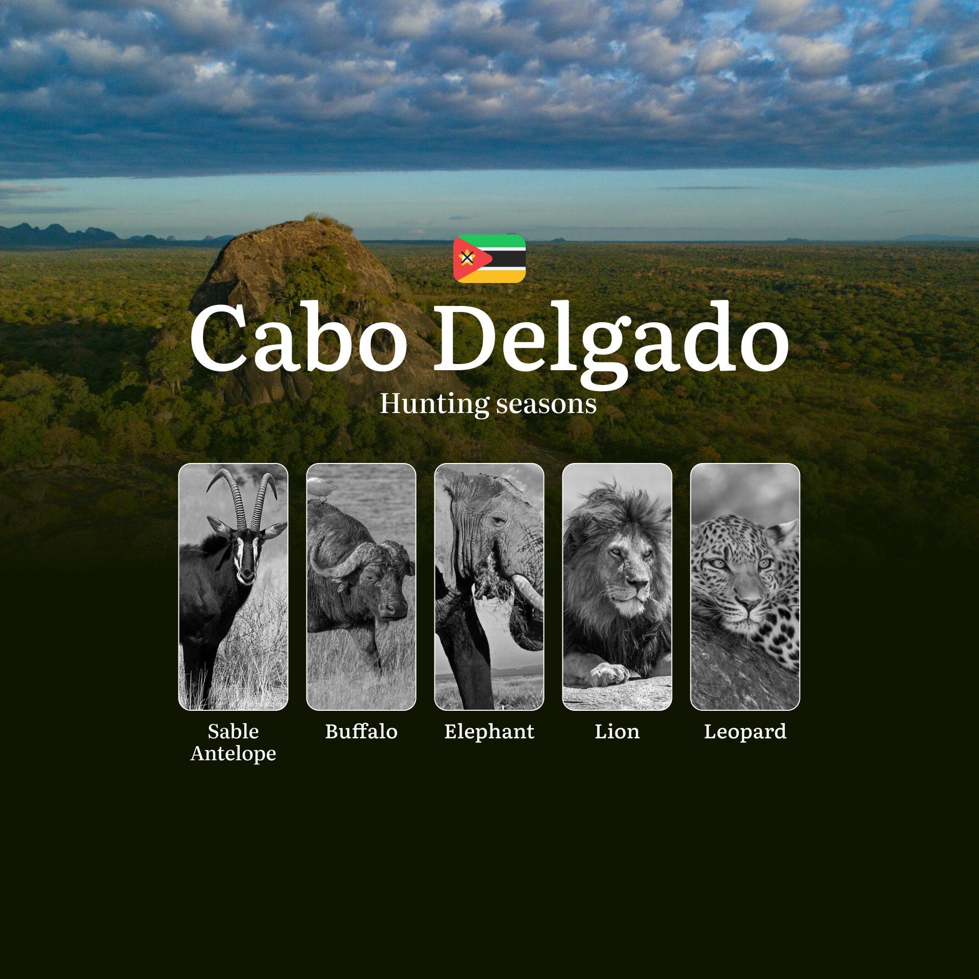 When the Dry Winds Blow: Hunting Seasons, Regulations and Prime Times in Mozambique's Cabo Delgado Province