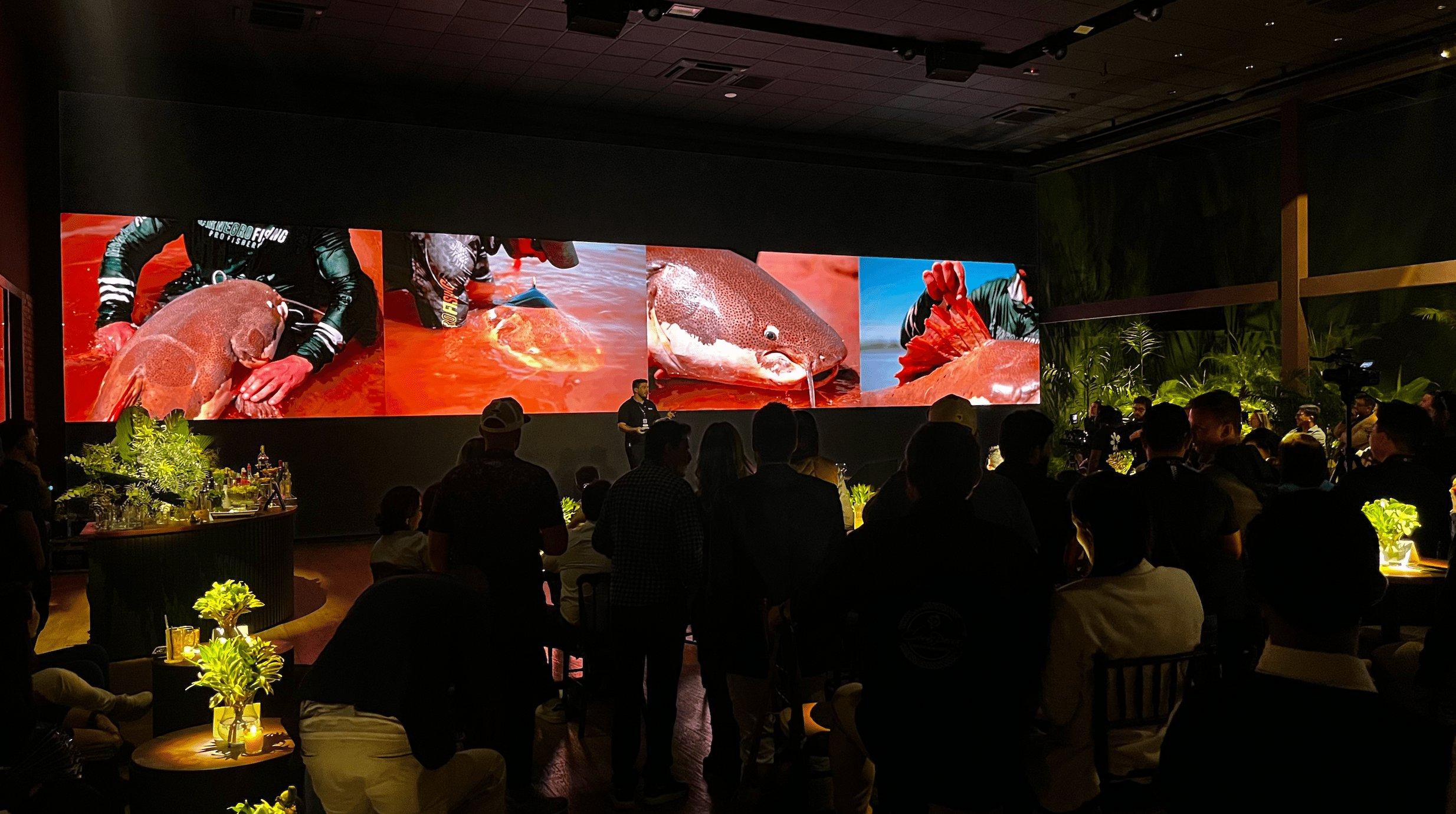 A Fishing Show Brazil 2025: São Paulo, Exhibition Centre – June 28 to August 31, 2025
