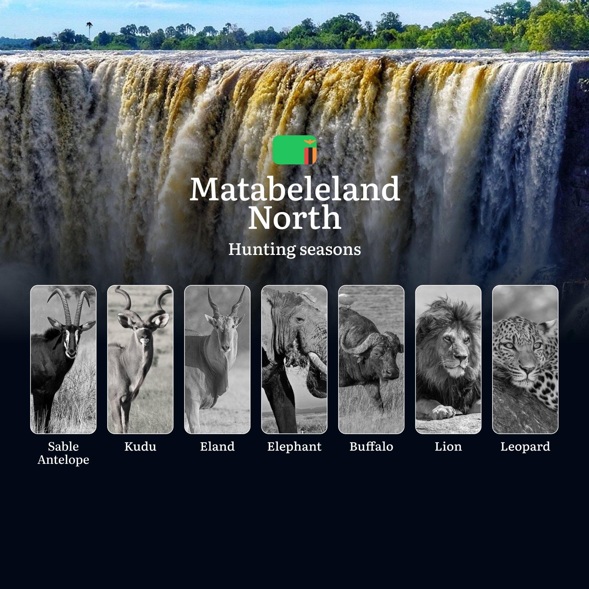 Dusk Till Dawn in Lion Country: Prime Hunting Seasons, Events, Tactics for Matabeleland North's Big Game