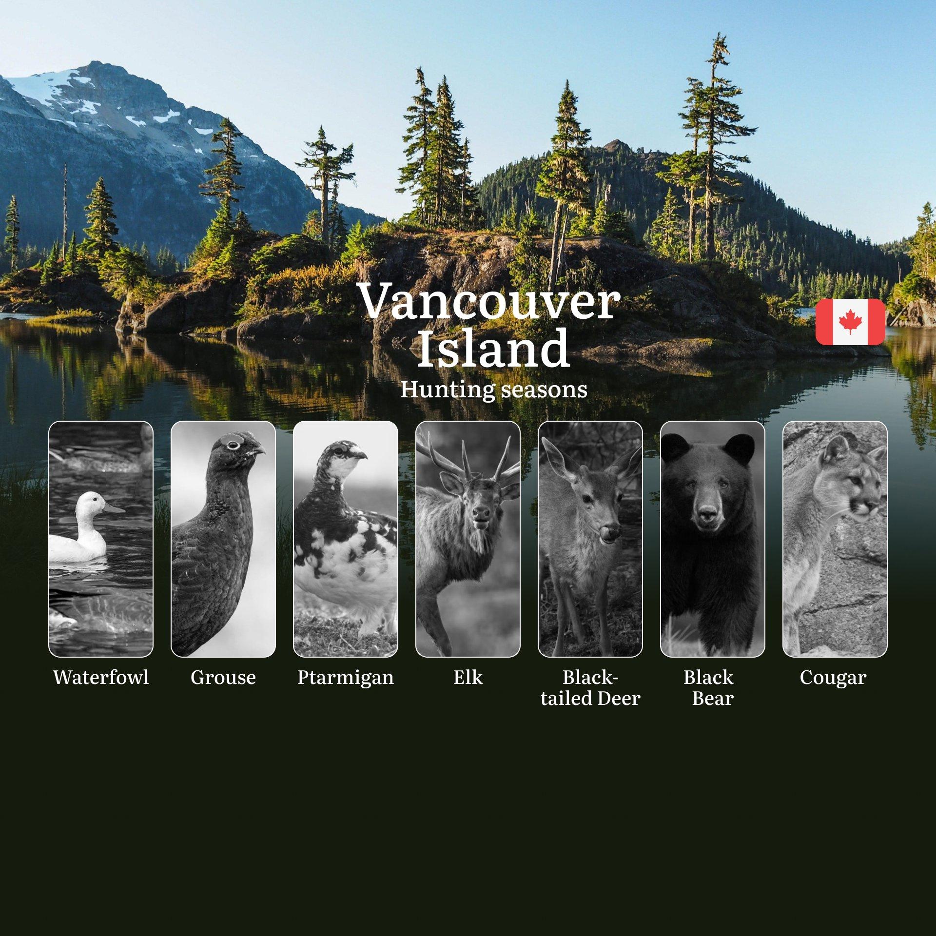 Hunting Seasons in VANCOUVER ISLAND: Opening and Closing Dates, License Requirements and Essential Rules 