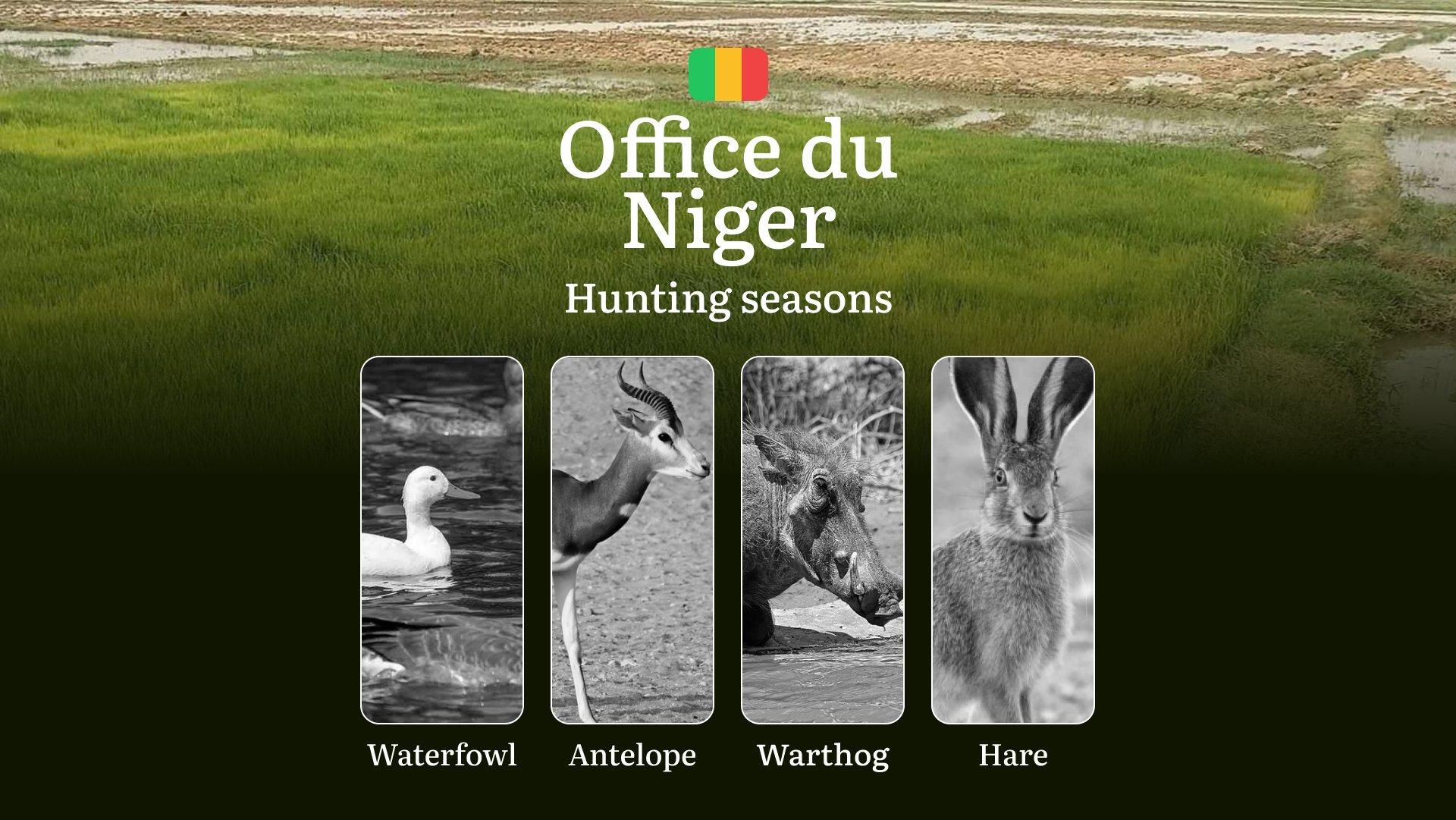 Hunting Periods in Office du Niger: Peak Hunting Periods for Large and Small Game, What’s Off Limits, Rules and Exceptions, Getting Your Hunting Pass, Gear, Spots, and Best Times
