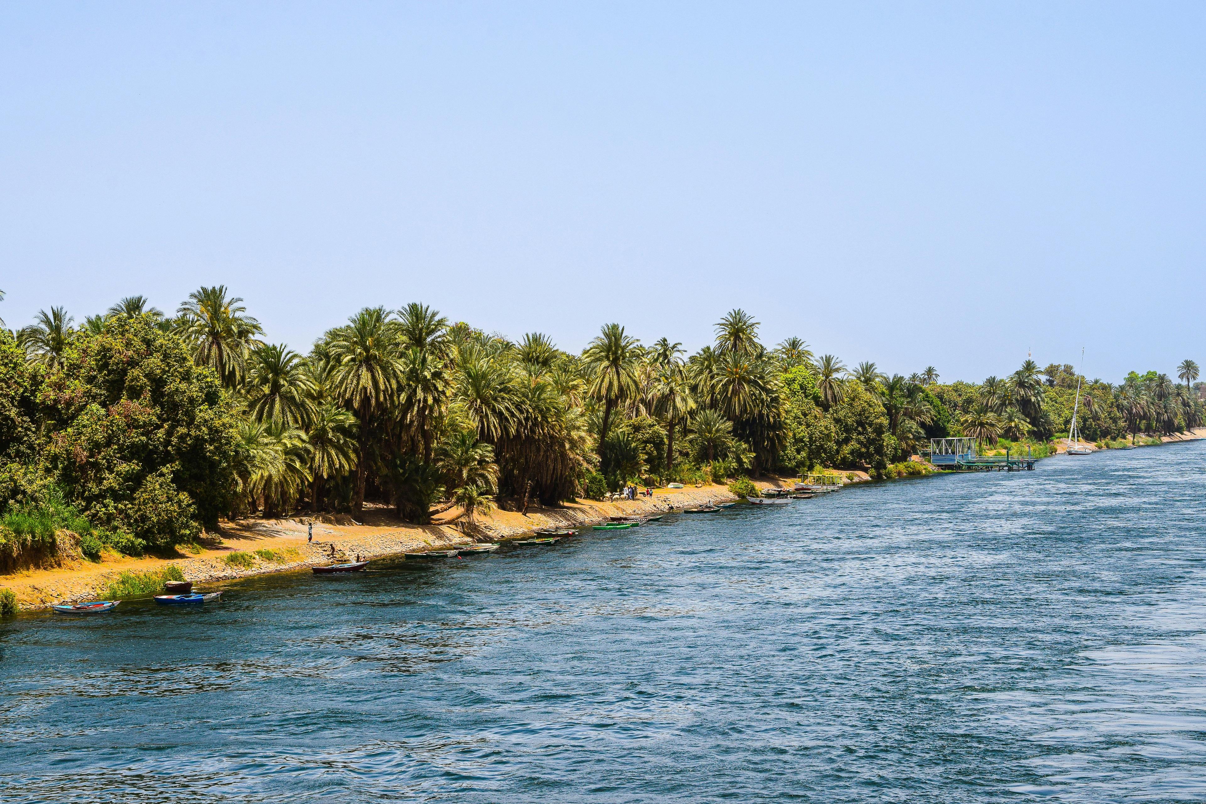 Hunting in the Dakar Department of Senegal: game, laws, legislation, hunting seasons.
