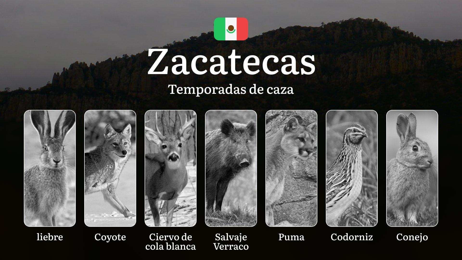 Temporadas y períodos de caza en Zacatecas: Calendario, Regulaciones y Épocas para la Caza Mayor y Menor  