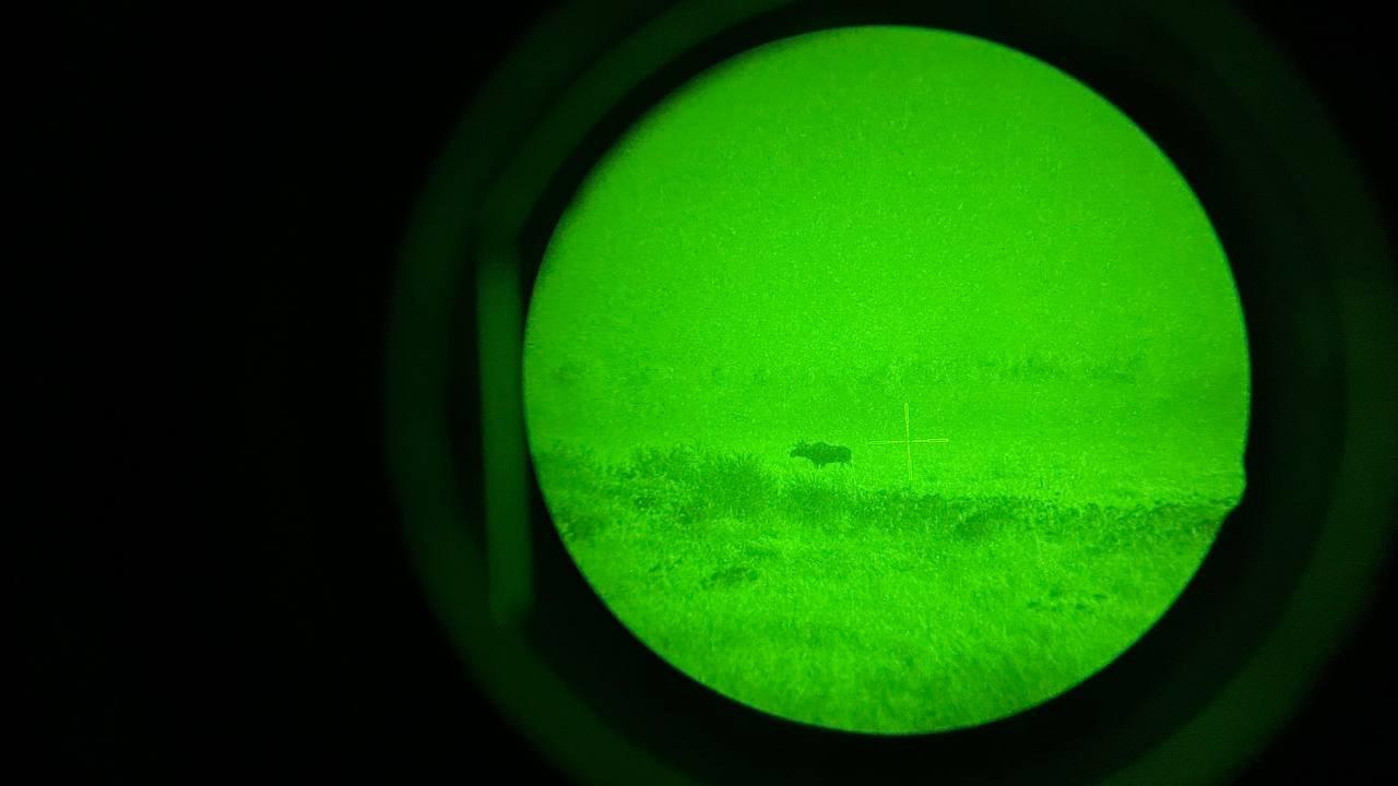 Review of Dedal 490(3+) Night Vision Scope with Integrated Invisible Nivis Illuminator