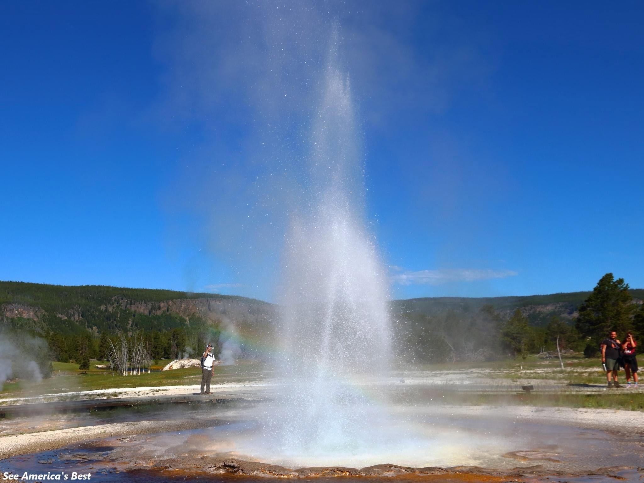 There are so many to see in Yellowstone National Park!