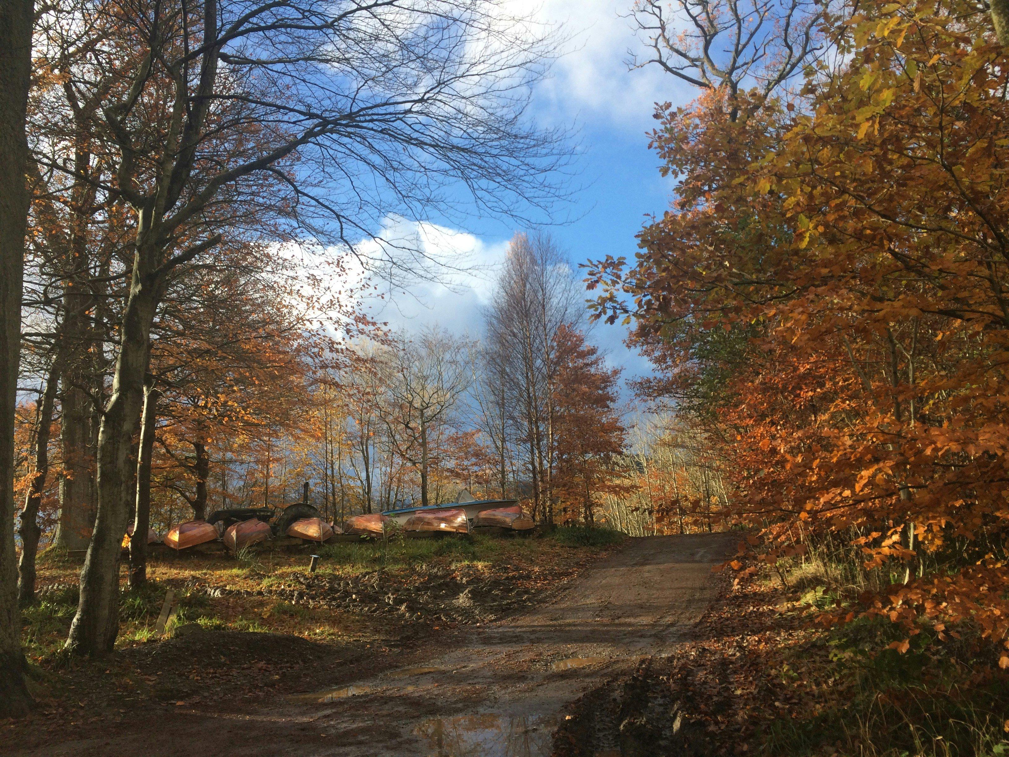 Hunting in Shropshire, England: geographical and natural features of the region, hunting seasons, interesting facts and traditions