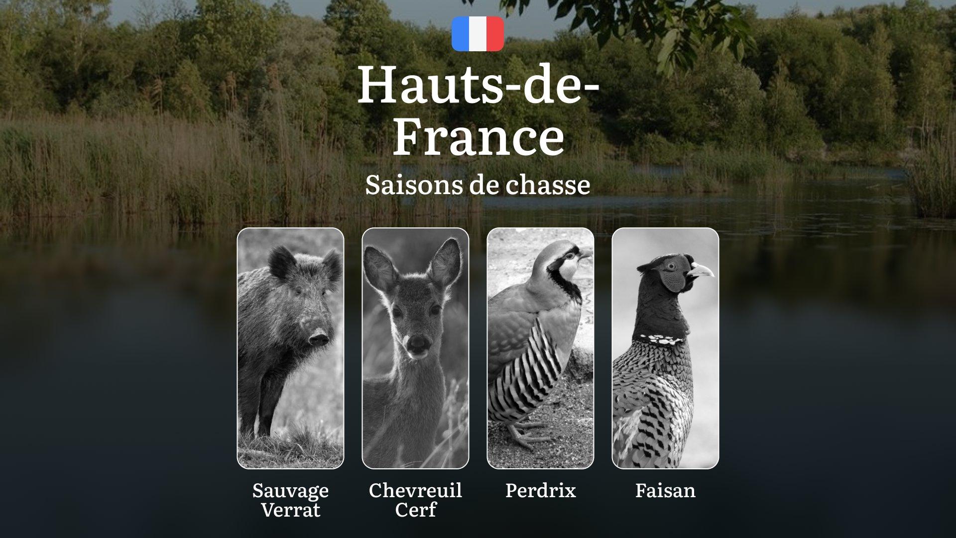 Saisons de Chasse en HAUTS-DE-FRANCE: Dates Officielles, Périodes Clés,  Comparaison Régionale, Restrictions Spécifiques, Réglementations en Vigueur et Stratégies Optimales