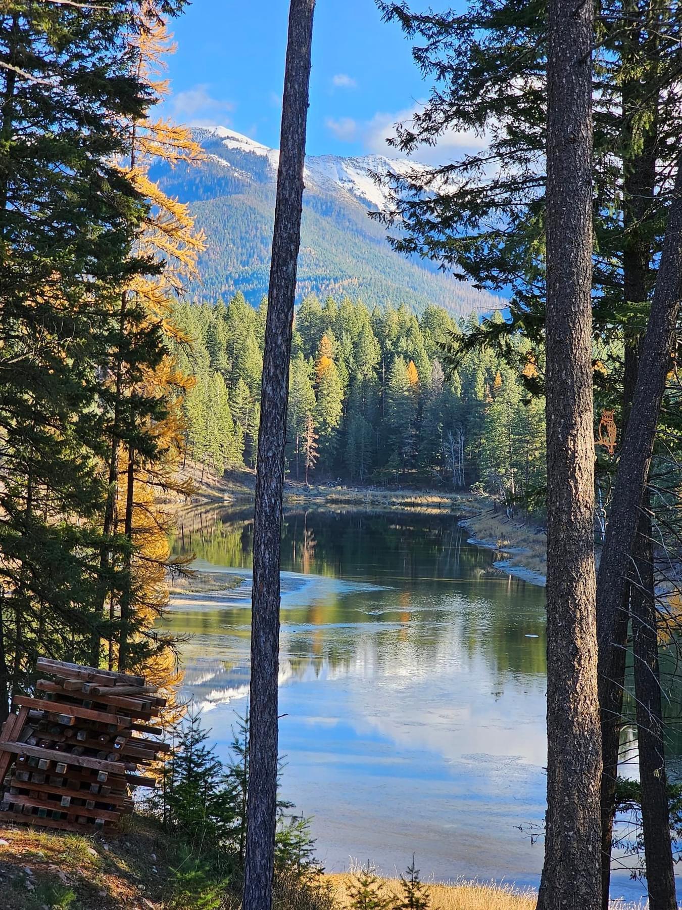 A view out my kitchen window, I am blessed.