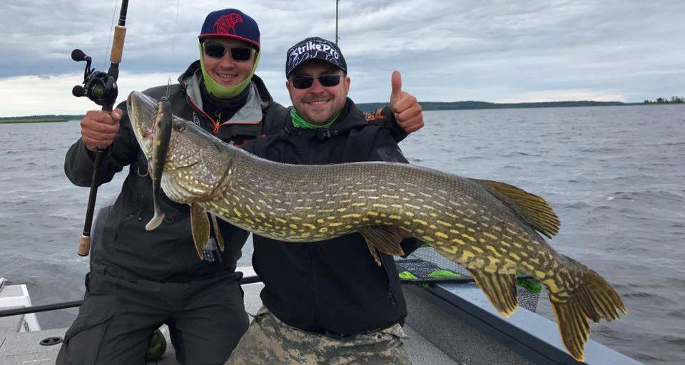 Trophy pike in Braslav lakes