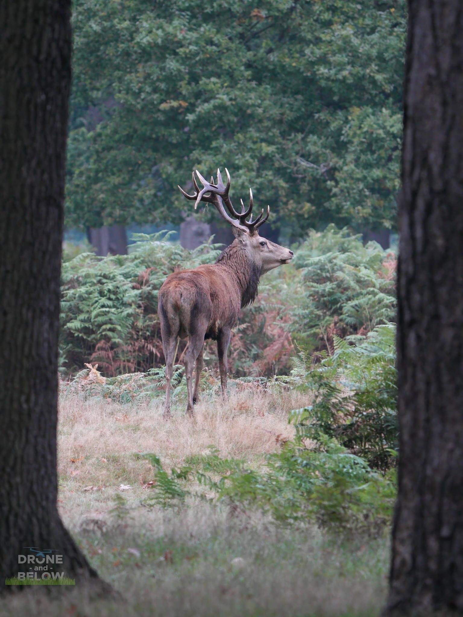 An Early Start for a Day Immersed in Nature’s Beauty at the Royal Park