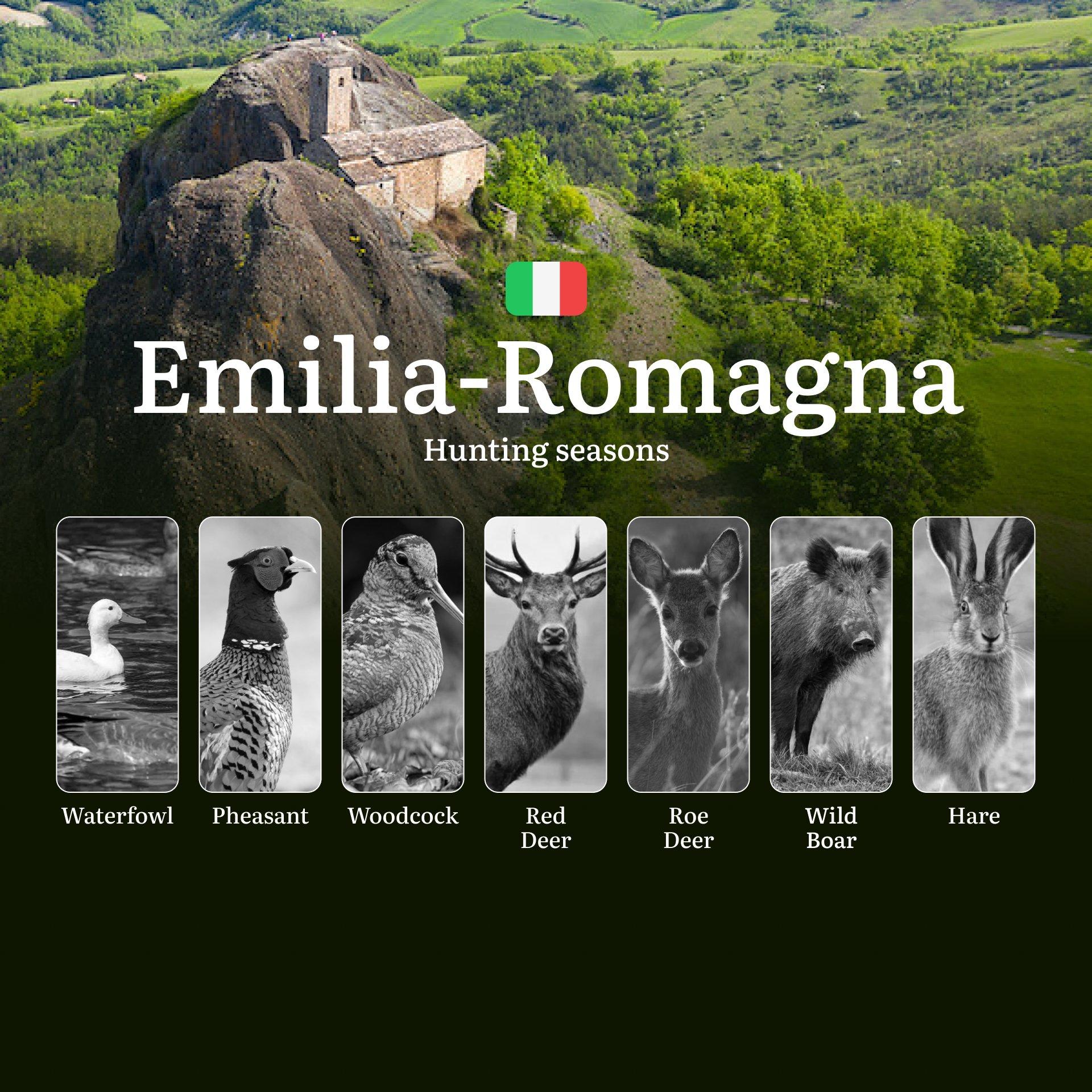 Hunting in Emilia-Romagna: From the Comacchio Valleys to the Apennines – The Hunting Calendar, Seasons, and Rules to Know