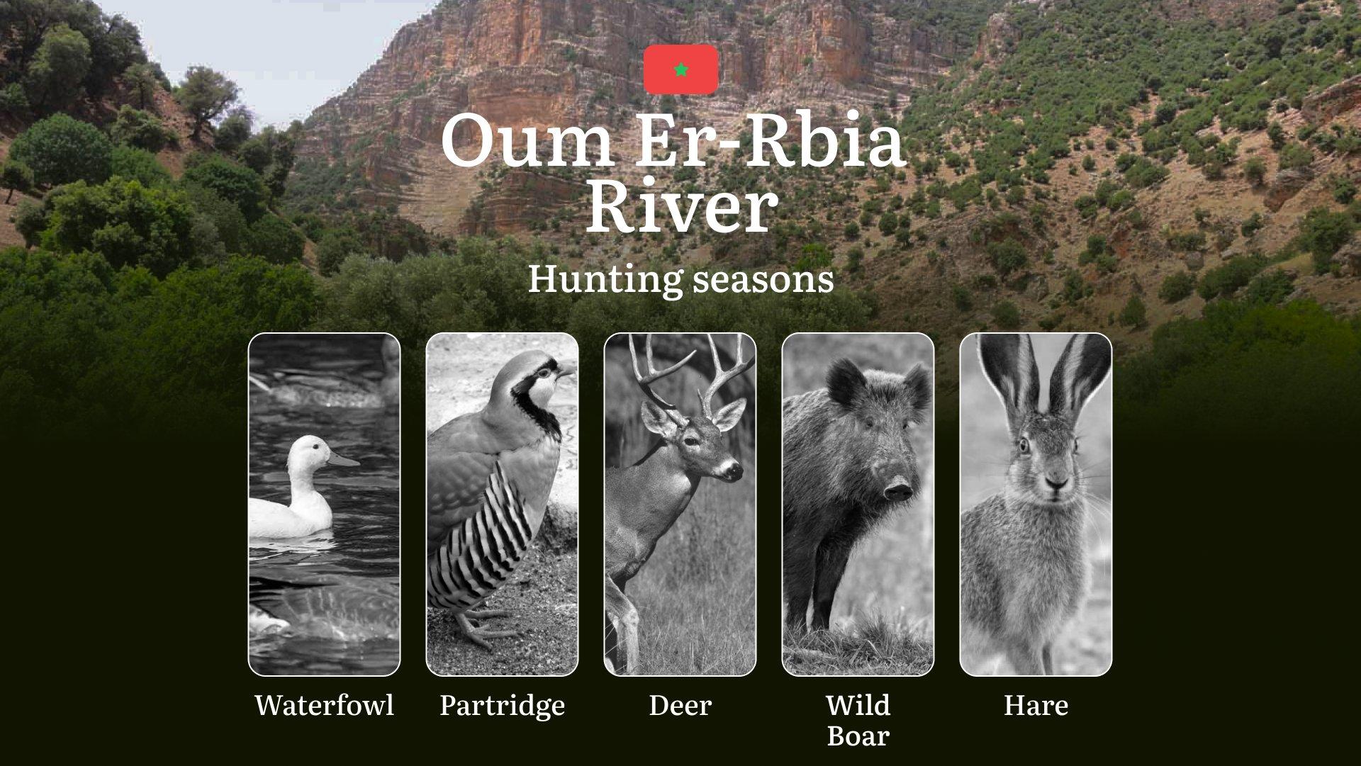 Hunting Dates in Oum Er-Rbia River: Seasonality of Hunting, Timing and Regulations, Hunting Permits, Restrictions and Prohibitions