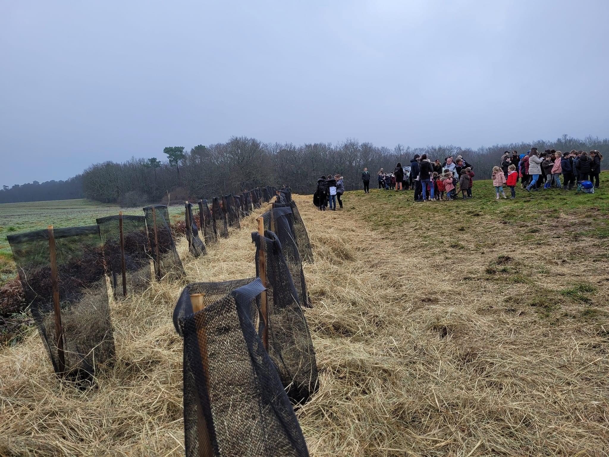 La semaine dernière, deux nouvelles haies ont vu le jour, à Condat sur Vézère et à Montpon (limite Eygurande et Gardedeuil).
