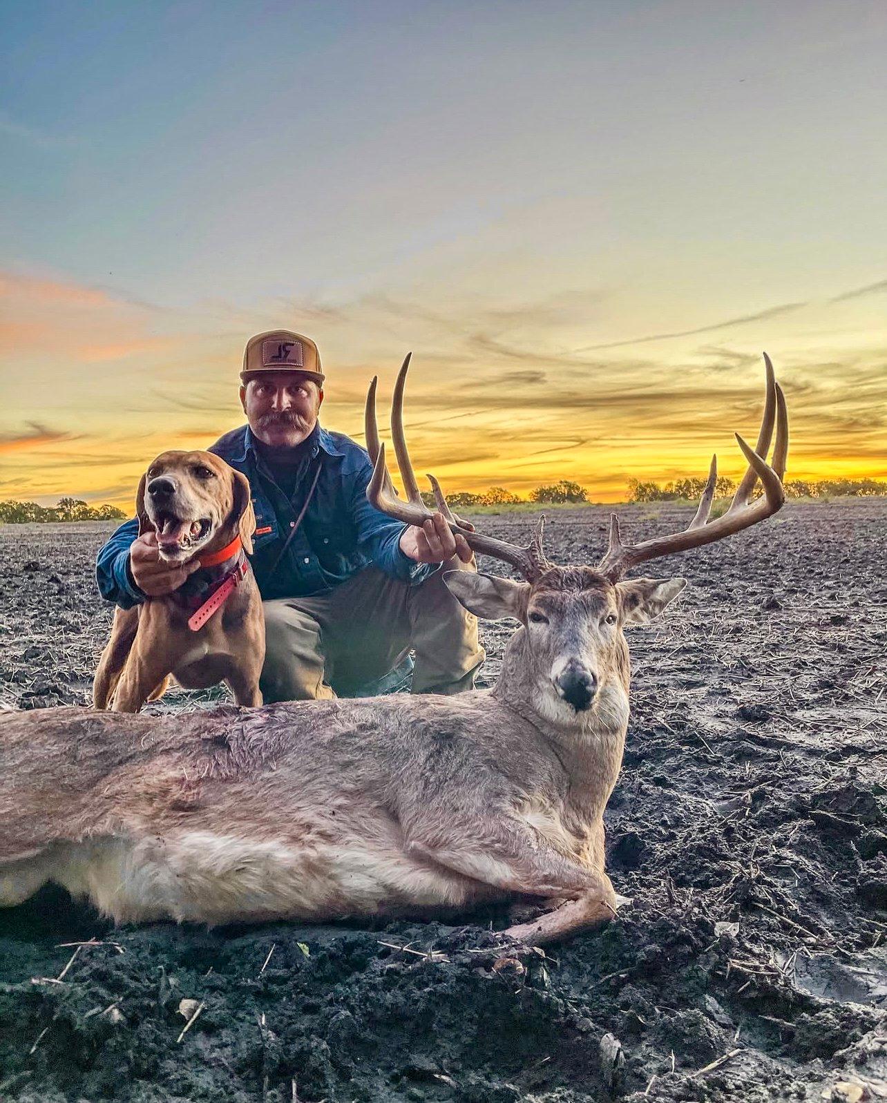 The Plott Hound: A Hunter's Guide to This Versatile Breed