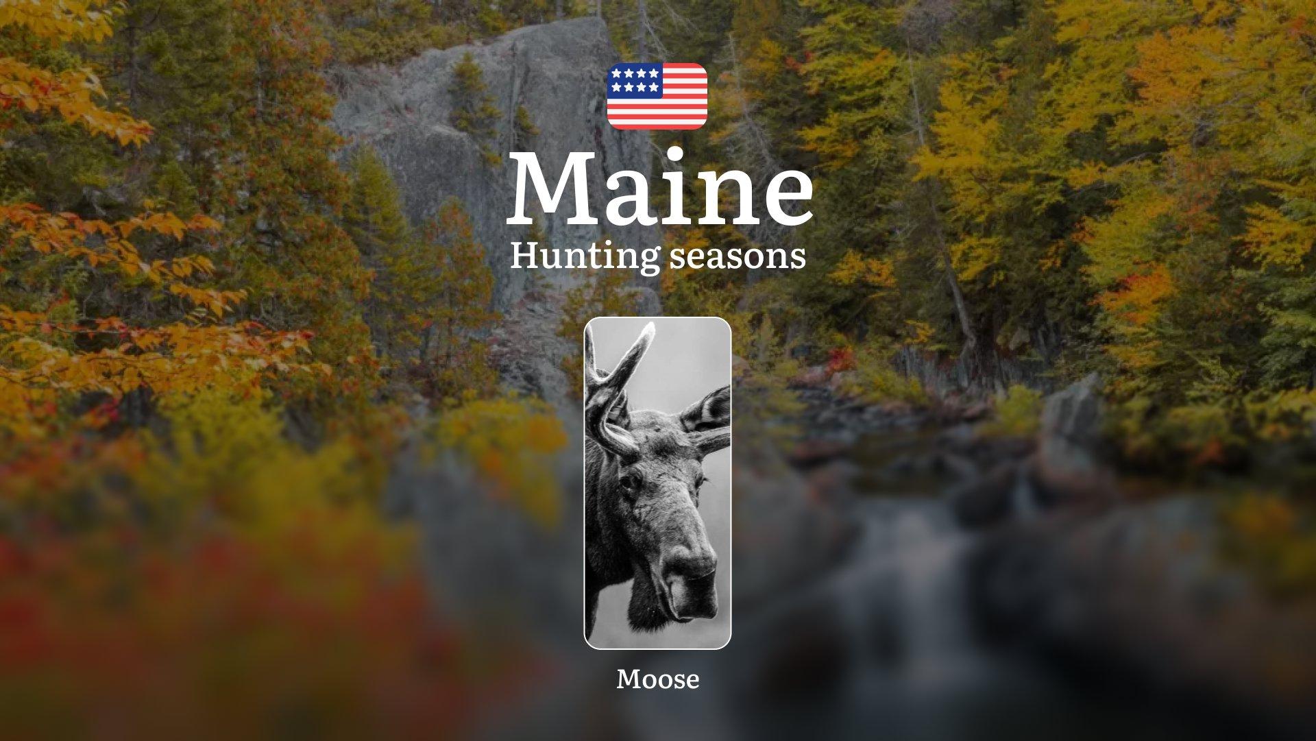 Moose Hunting Seasons in Maine, USA: Hunting Seasons, Opening and Closing Dates, Licenses, Rules and Restrictions