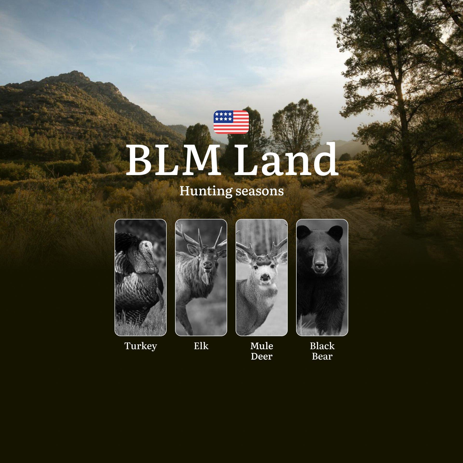 Hunting Seasons on BLM Land in the USA: Seasons, Open and Close Dates, Licenses, Rules, Prohibited Species