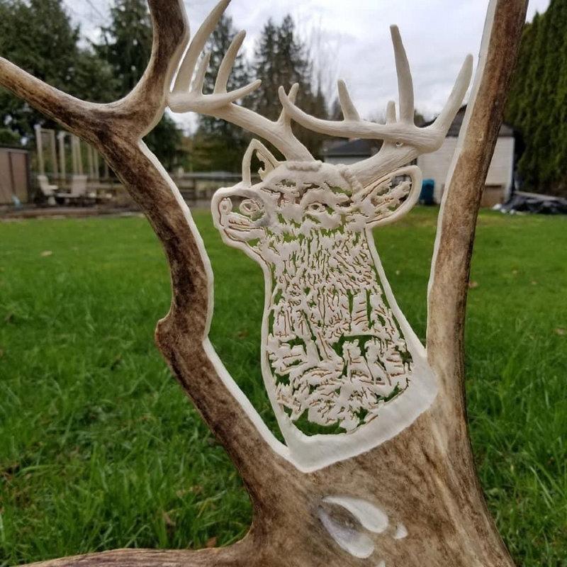 My whitetail carving is complete.