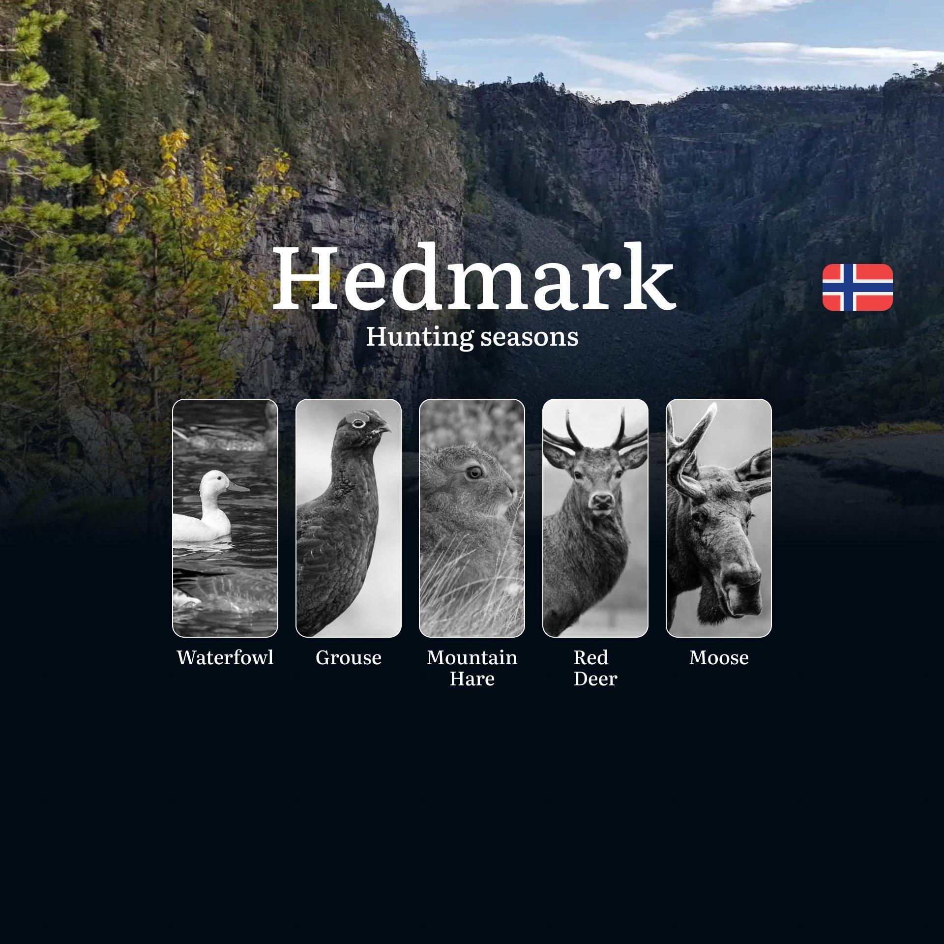 Hunting Periods and Permits in Hedmark: A Detailed Look at Game Movement Throughout the Year, Seasonal Limits, and How to Apply for a Hunting License in the Area