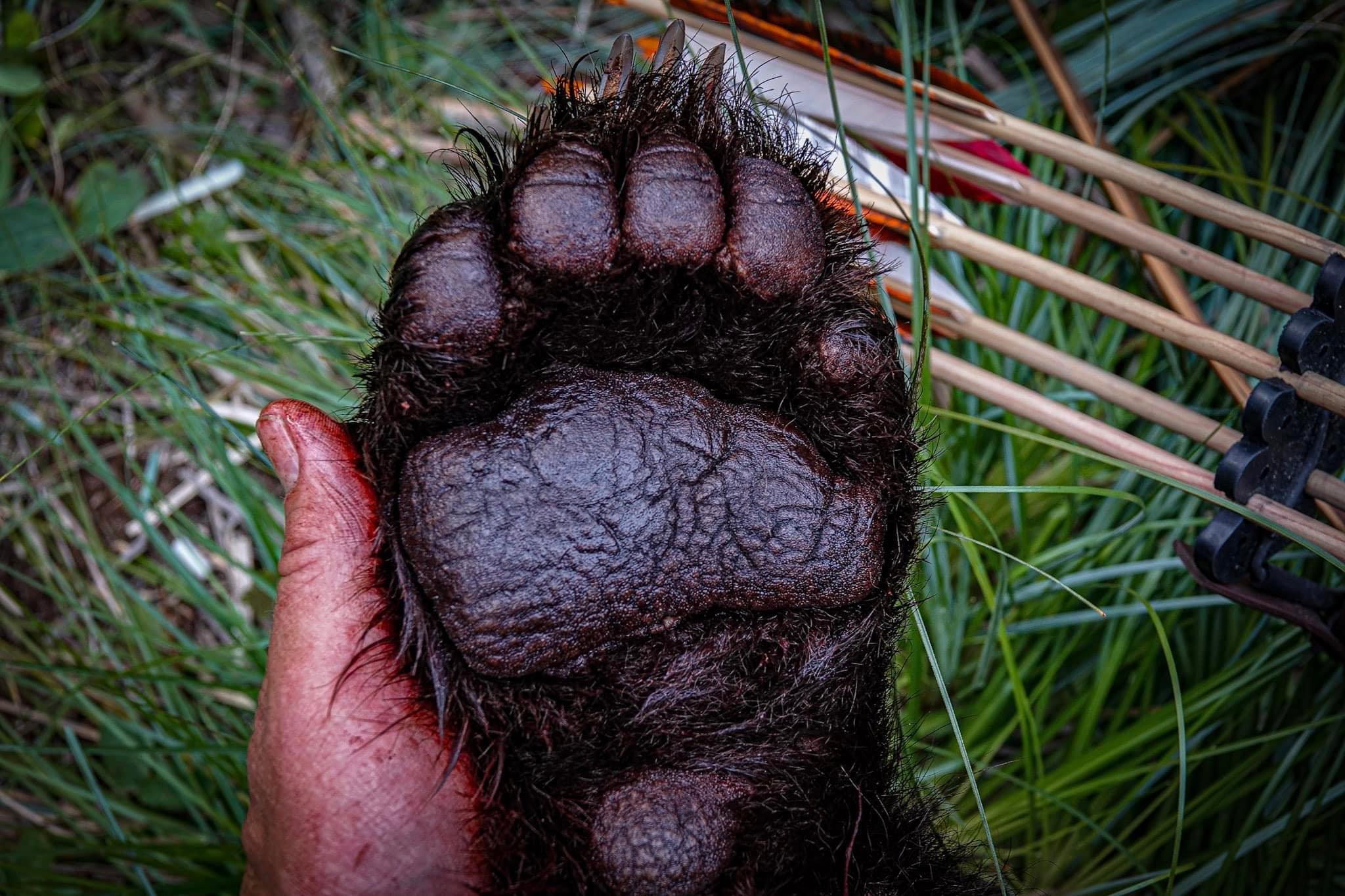 Ron hunted 16 days, shot this bear, skinned it, processed it, and made this fabulous penne pasta and bear meat sauce.