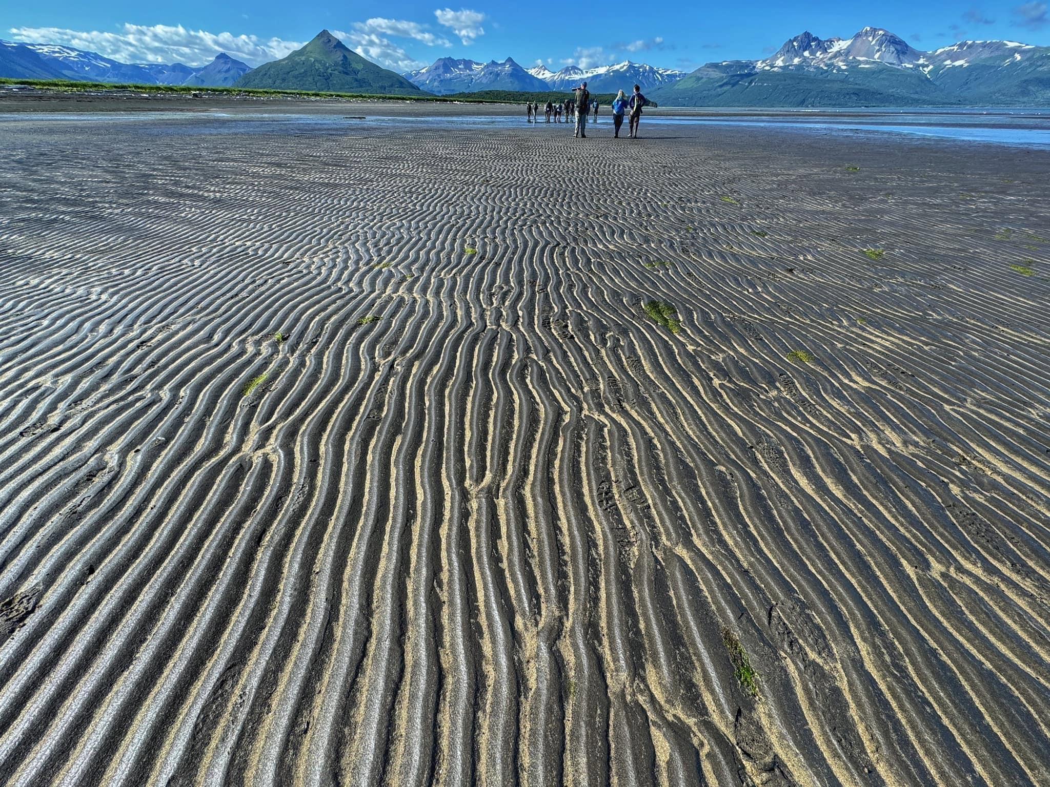 What I saw and photographed recently based out of Homer, Alaska.