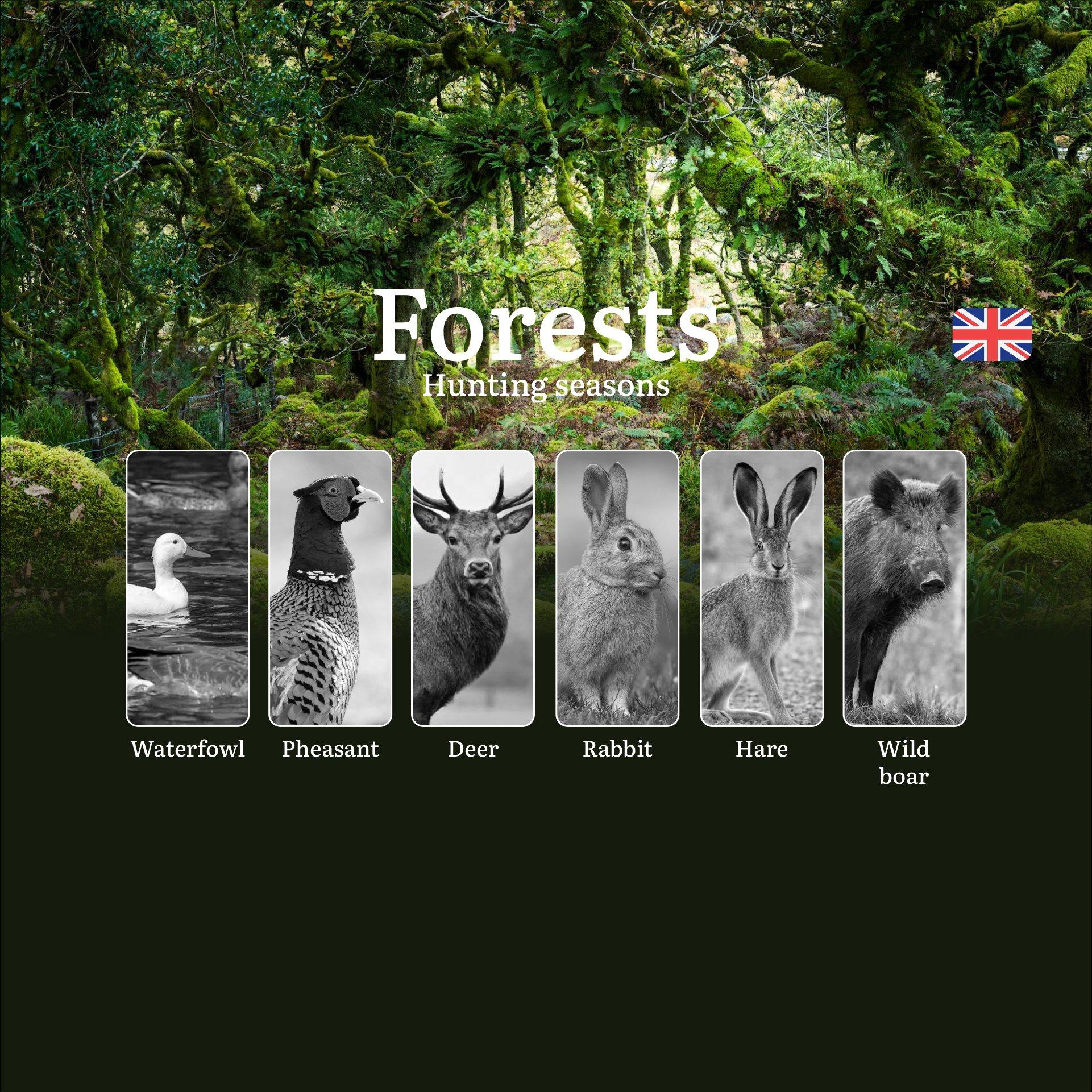 Hunting Seasons and Regulations in Forests & Woodlands: Key Dates, Licenses, and Best Times for Game