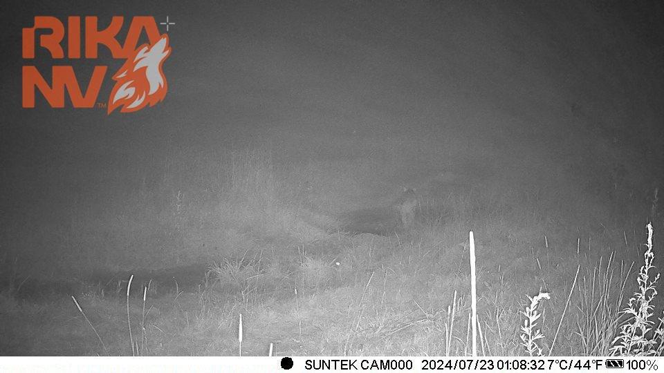 📸🐺Kako stoje stvari s kamerama na terenu?
