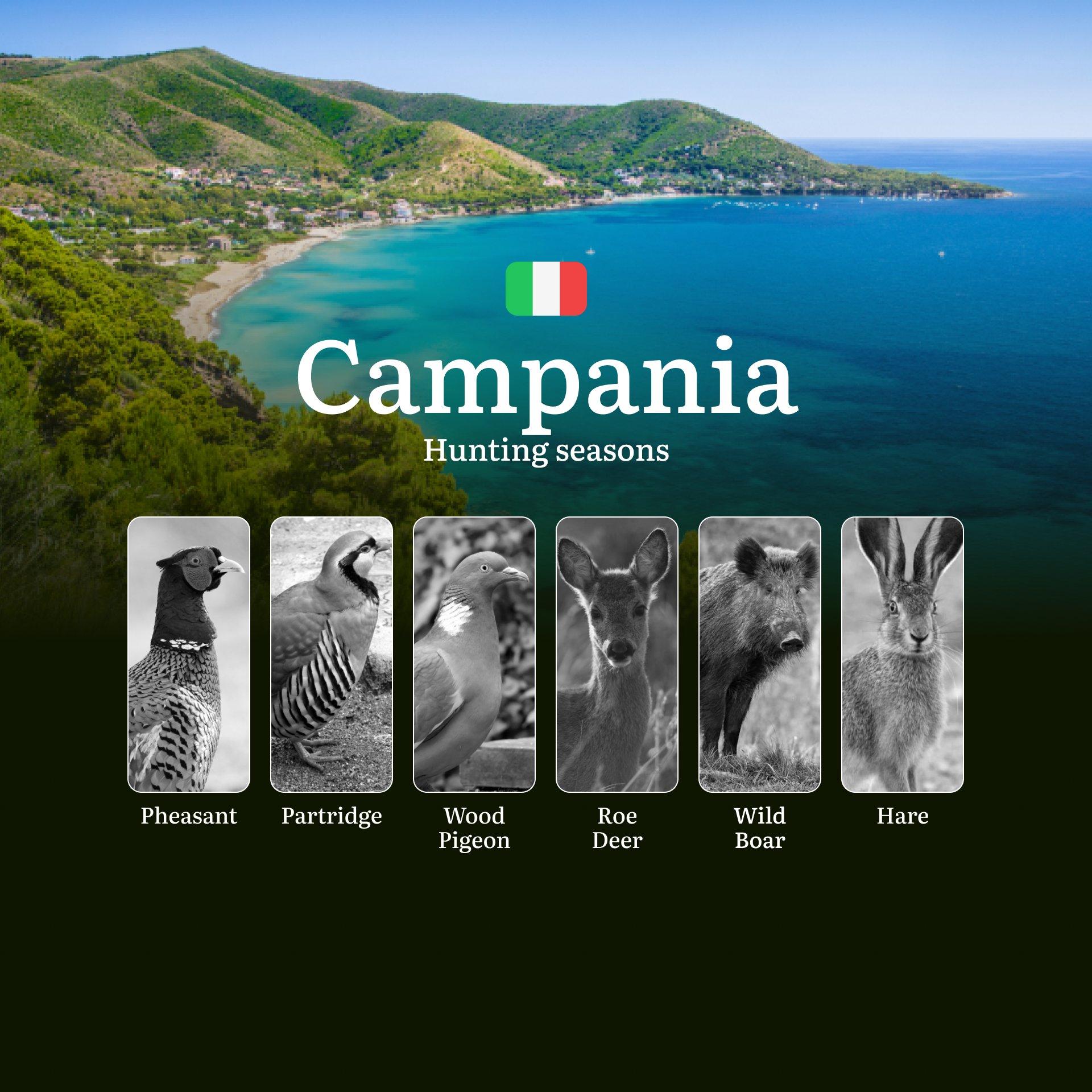 Campania Hunting Calendar: Optimal Dates from Cilento to Matese Mountains, Tips and Events