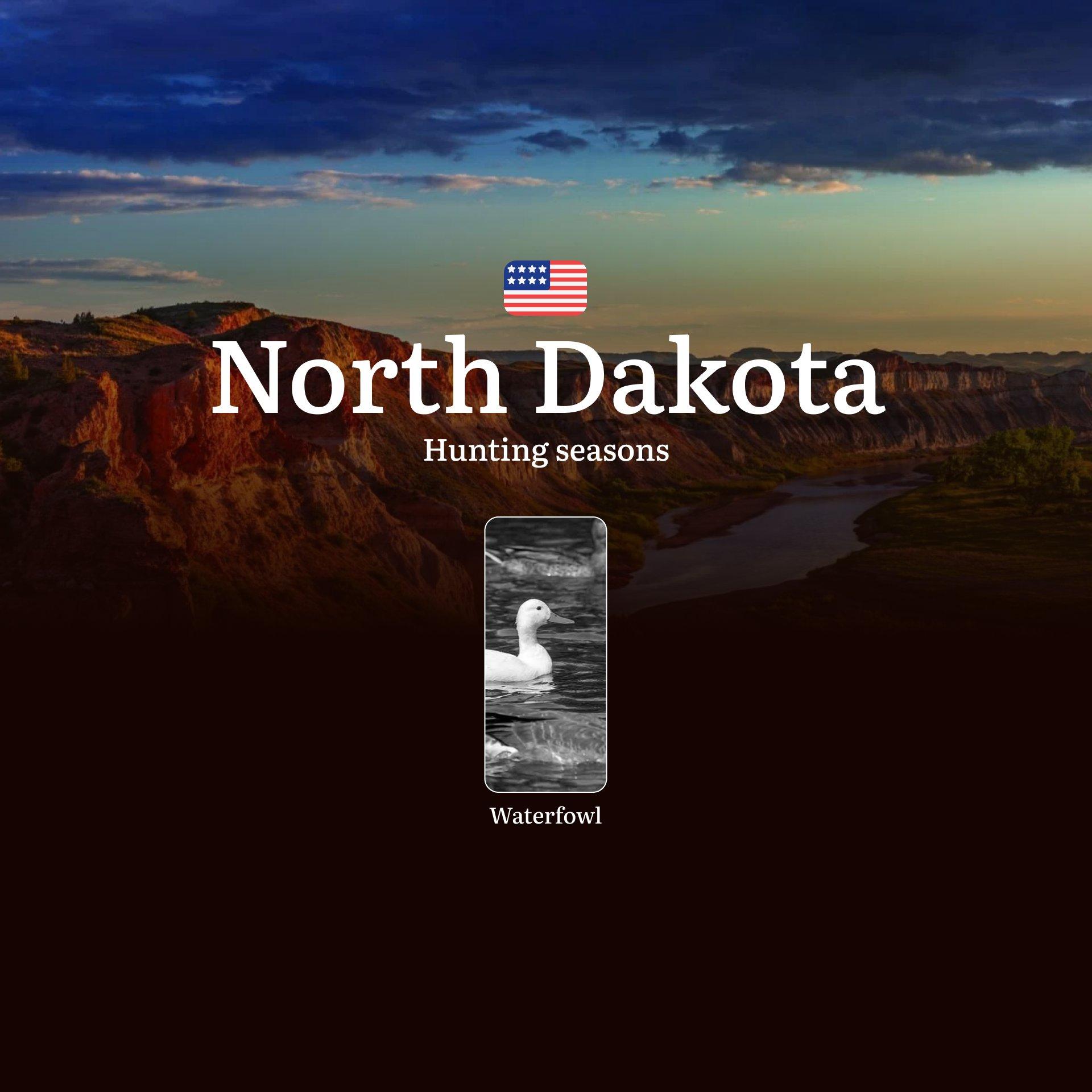 Waterfowl Hunting Seasons in North Dakota: Dates and Seasonality of Hunting, Bans, Restrictions and Protected Species