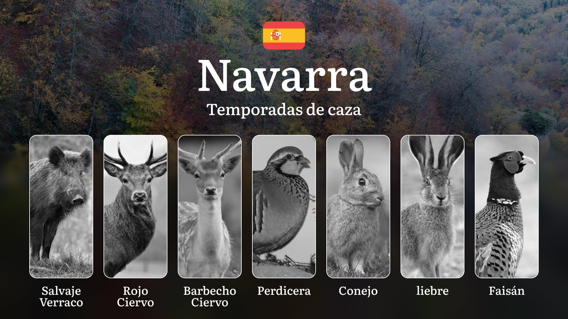 Temporadas de Caza en NAVARRA: Temporadas y períodos de caza por Valles, Normativas Forales Actualizadas y Consejos para Cazadore 