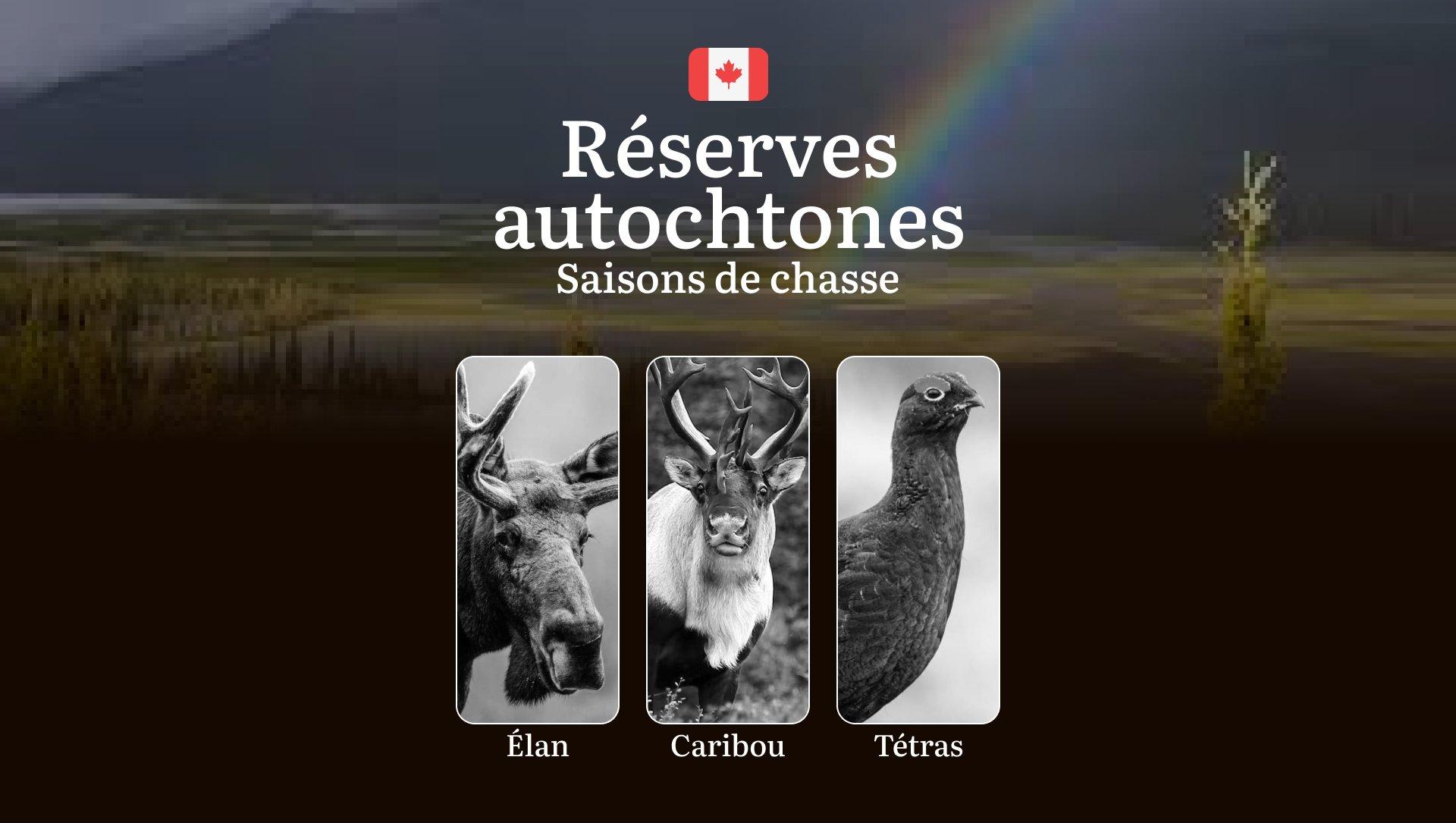 Les Saisons de Chasse dans les RÉSERVES AUTOCHTONES: Dates d'Ouverture/Fermeture, Obtention des Permis, Règlements Spécifiques et Périodes Clés 