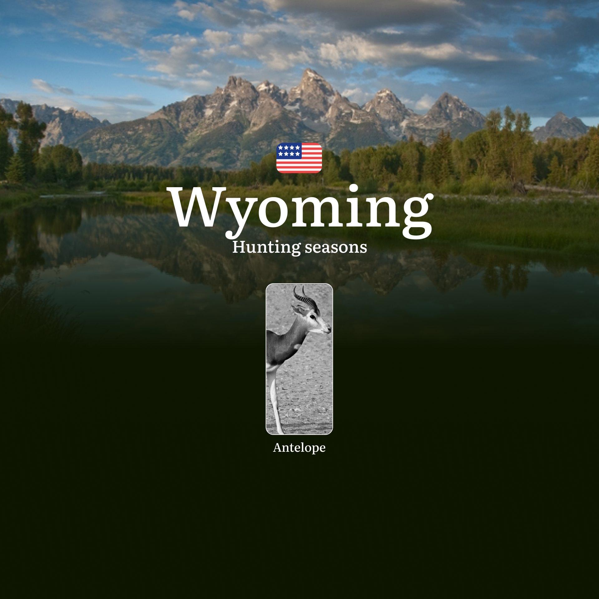 Wyoming for Antelope: Hunting Periods, Opening and Closing Dates, Licenses, Rules, and Restrictions and Bans for Violating Hunting