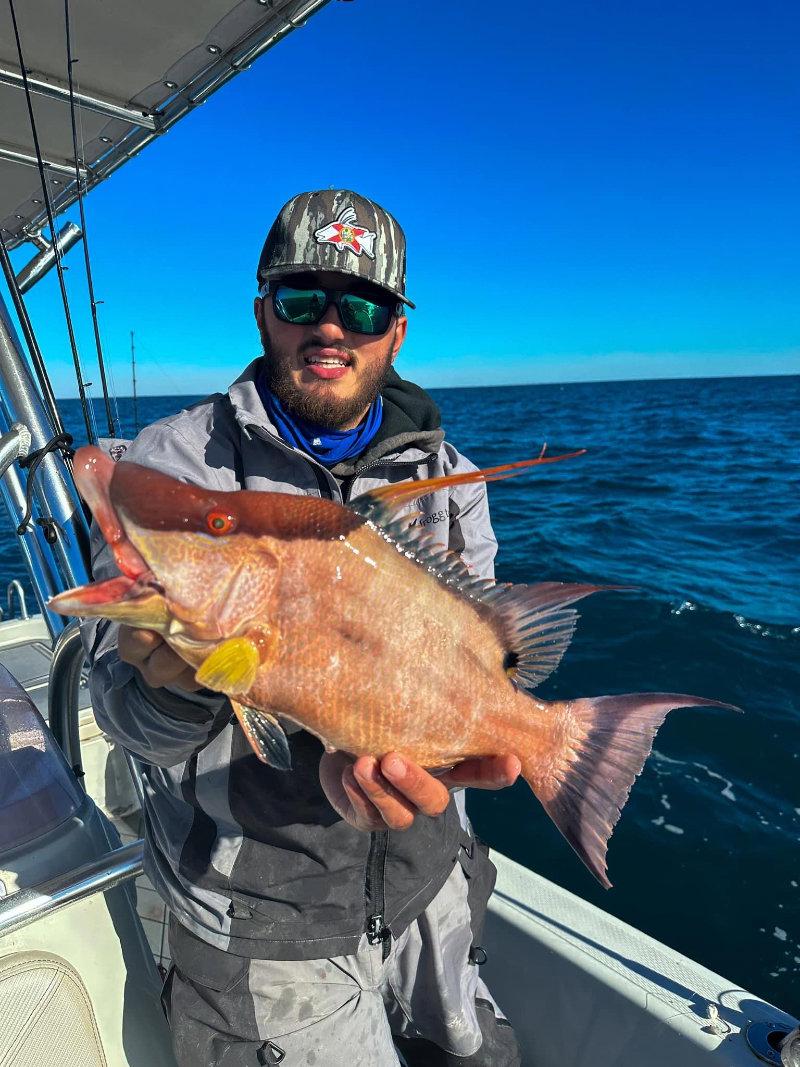 Everyone Loves Bacon!!The Hogfish bite has been on fire!