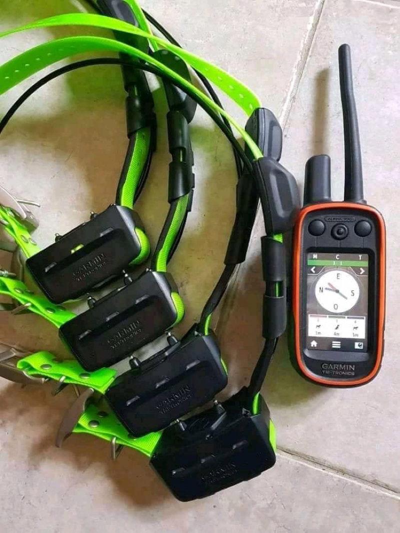 Verkaufe meine Lose GARMIN ALPHA 100 MIT 4 TT15 HALSBAND.
