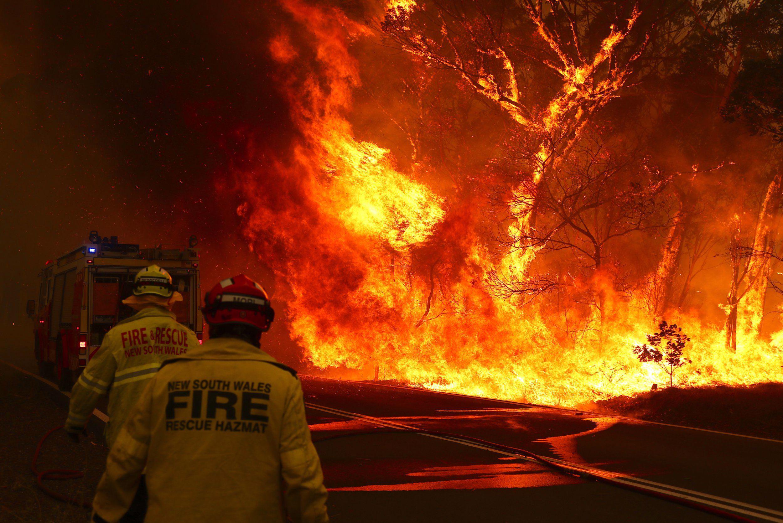 Australia is being ravaged by the worst wildfires seen in decades, with large swaths of the country devastated since the fire season began in late July.